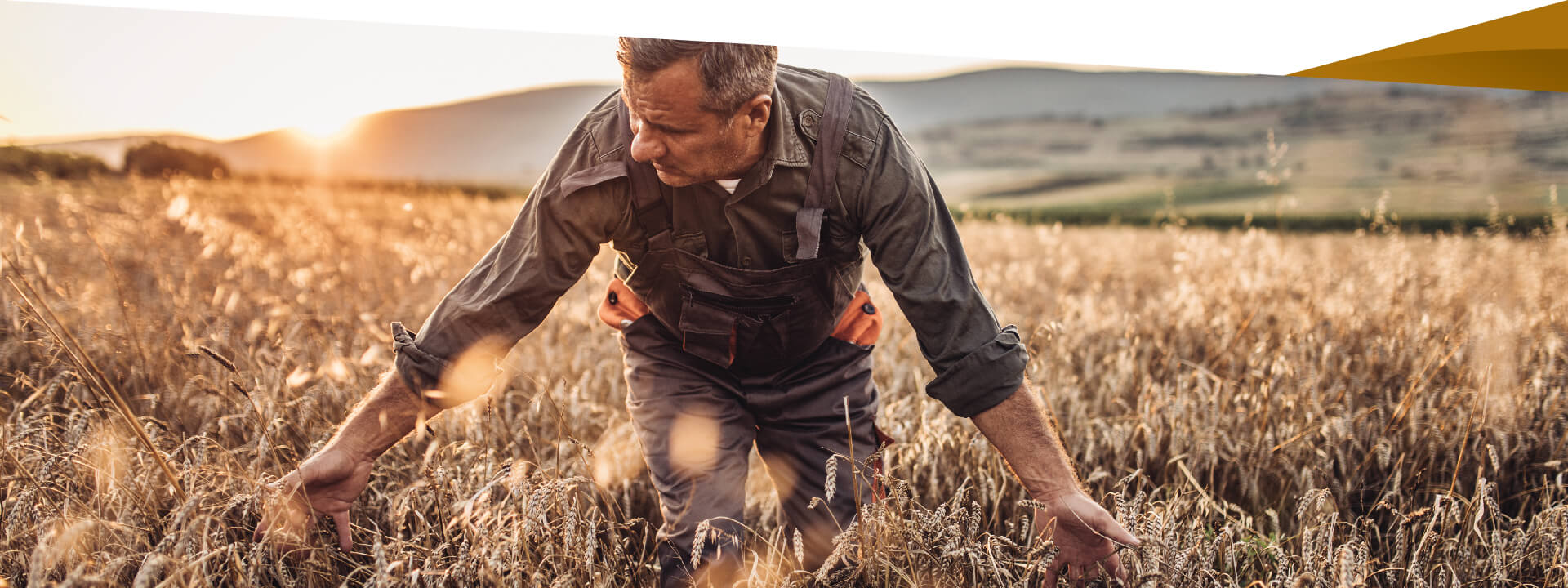 Farmer tending to his field